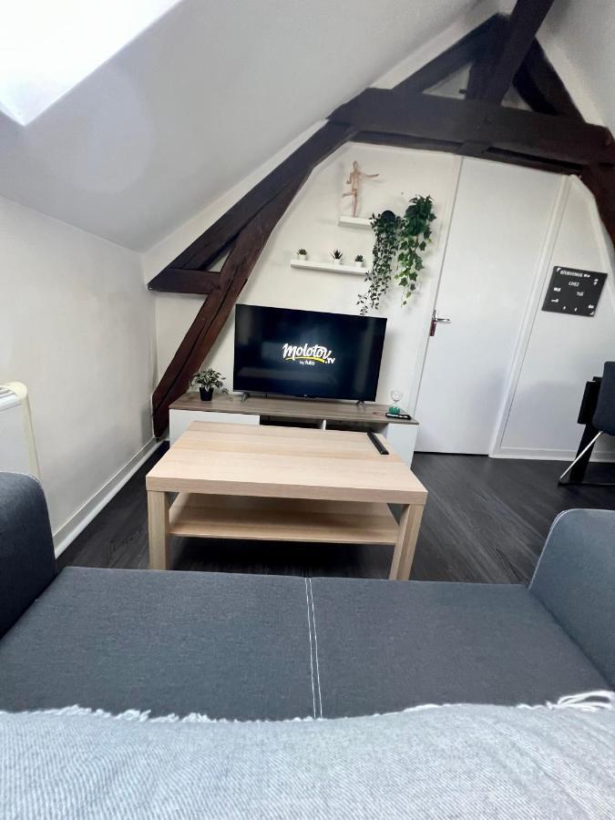 Bel Appartement Lumineux 35M2, Bord De Loire Saint-Jean-le-Blanc Exterior foto